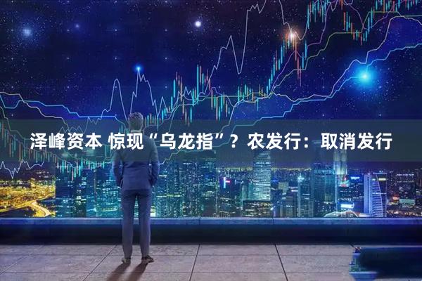泽峰资本 惊现“乌龙指”？农发行：取消发行