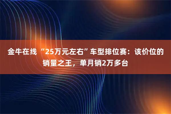 金牛在线 “25万元左右”车型排位赛：该价位的销量之王，单月销2万多台