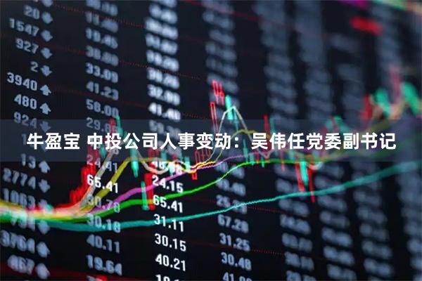 牛盈宝 中投公司人事变动：吴伟任党委副书记